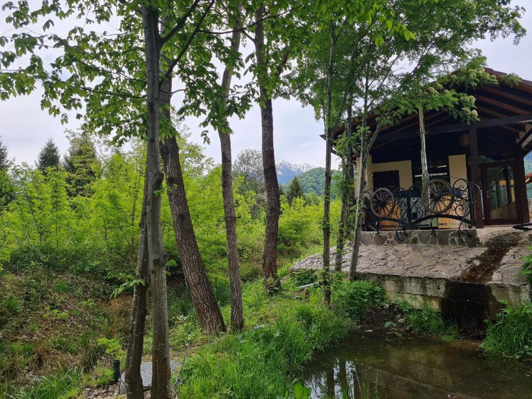 Pensiunea Valceaua Zanelor Dragus Esterno foto